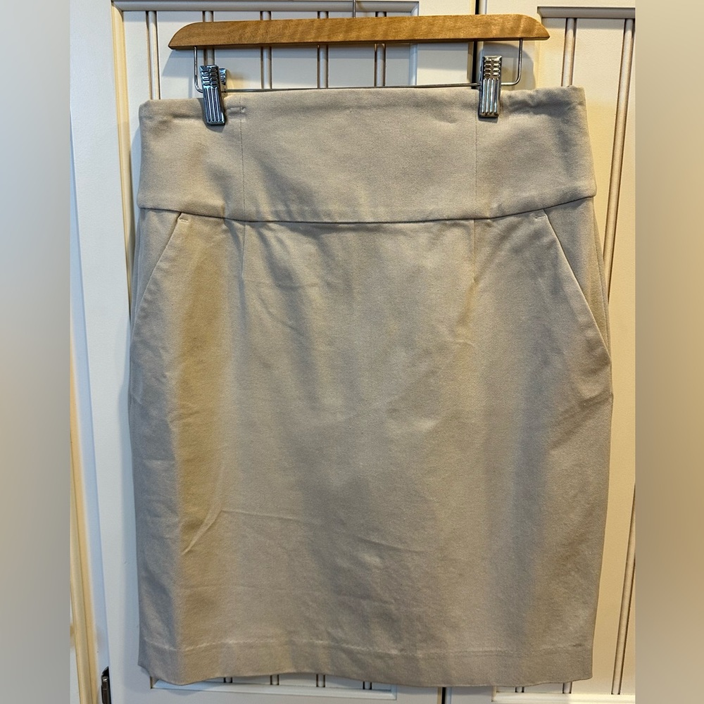 Banana Republic Stretch Skirt - Oatmeal color